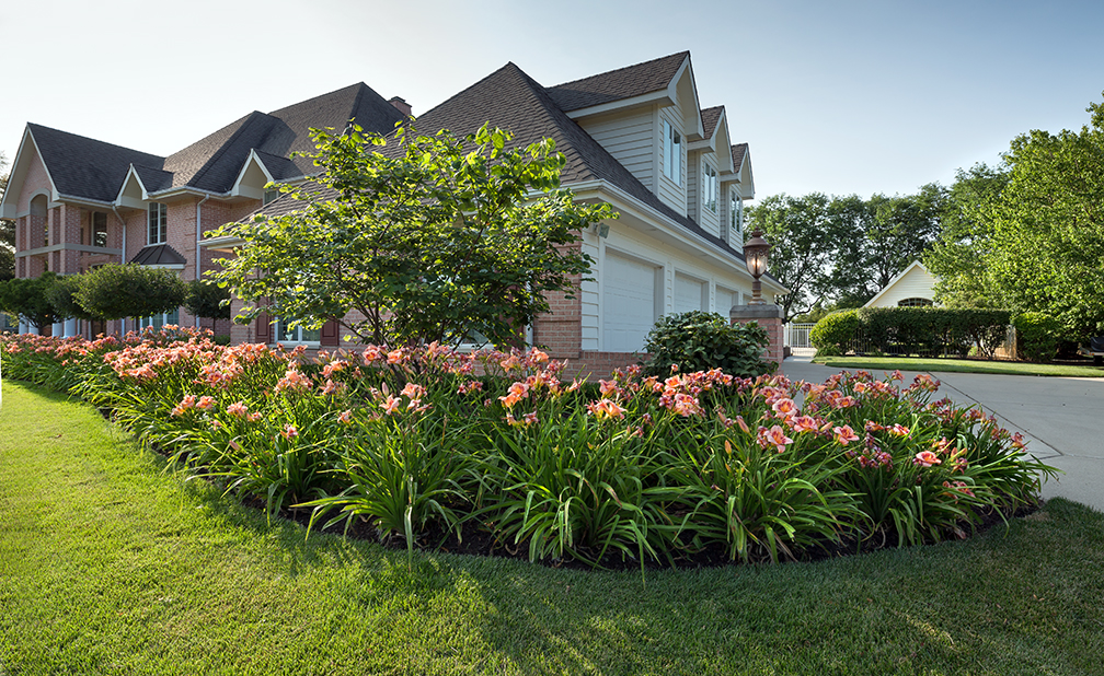 plainfield landscaping